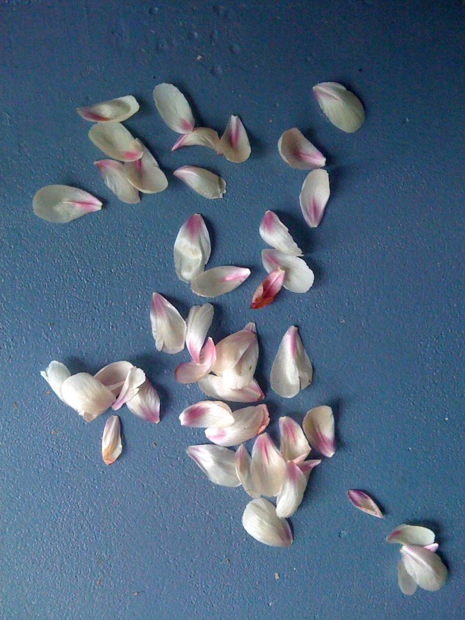 deense aquarellen met pioen (3)